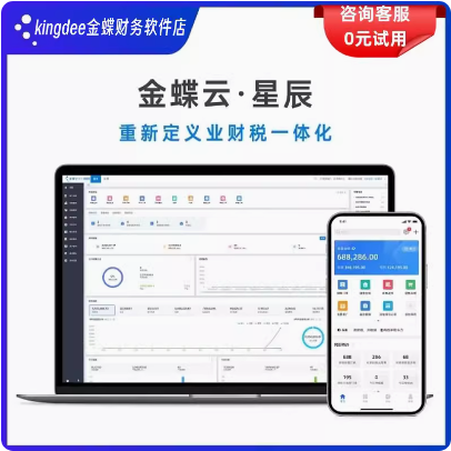 金蝶云星辰专业版 财税进销存零售订货生产报销 记账财务软件管理